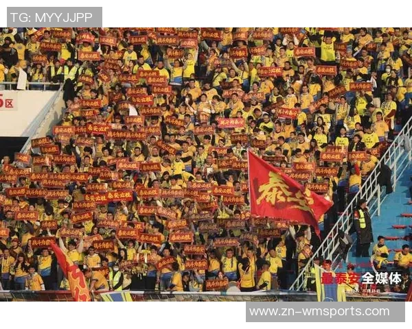 畅享在线足球直播观看体验，随时随地与全球球迷一起欢呼助威