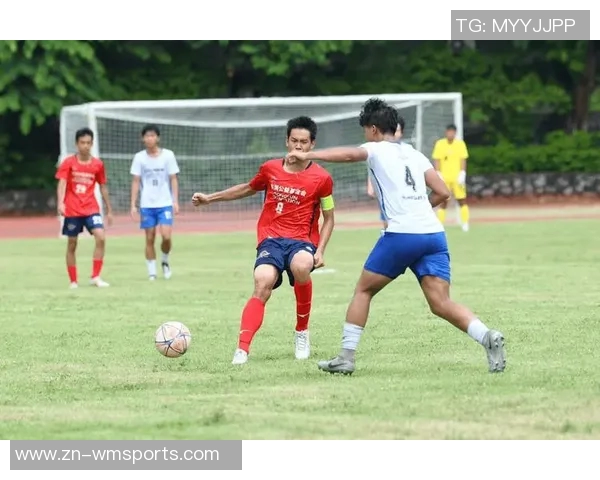 足球使命：追逐梦想的绿茵之路与无畏拼搏的精神传承